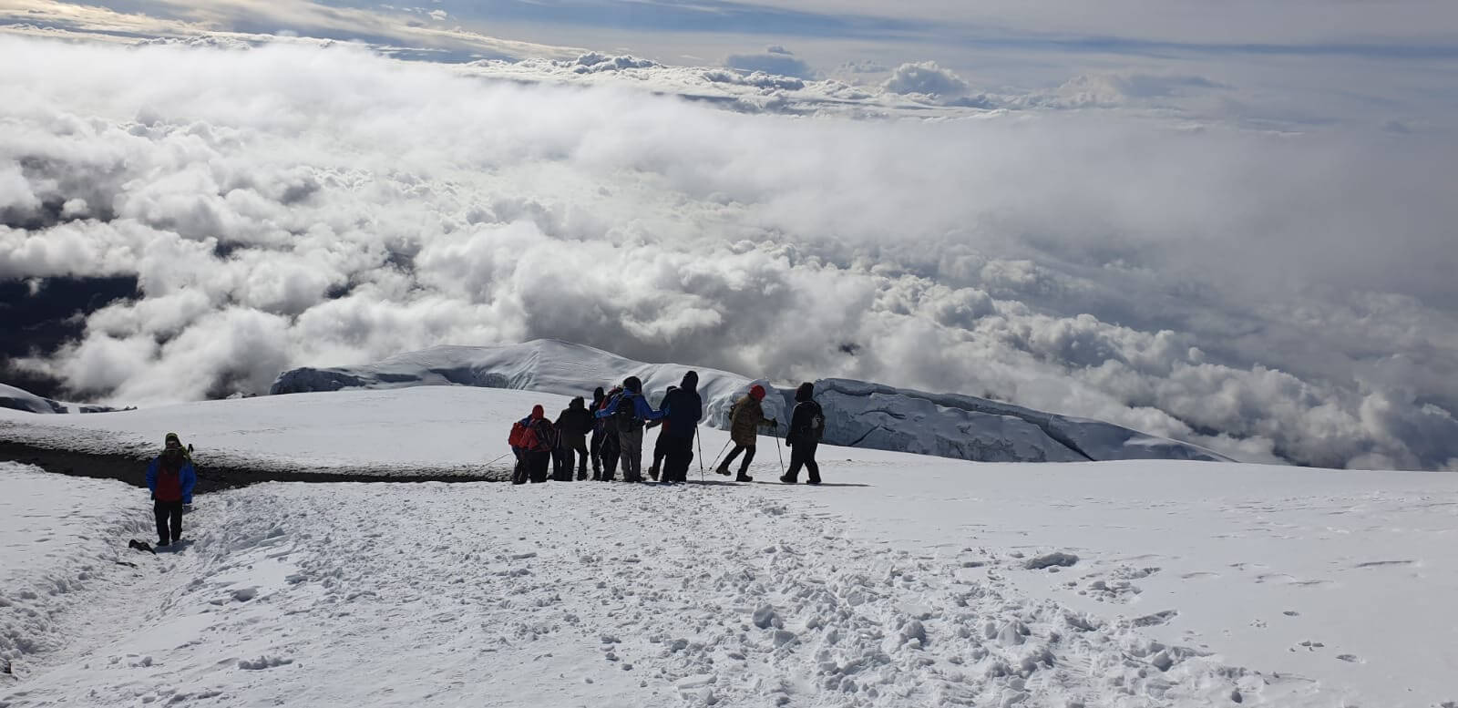 Softshell kilimanjaro sales