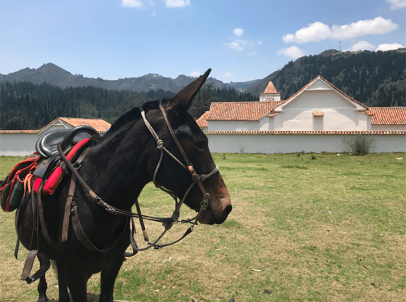 AdAstra Adventures - Colombia